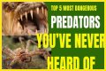 10 Terrifying And Deadly Predators You've Never Heard Of