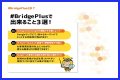 BridgePlus Manual
