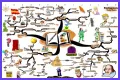 An Interpretation of Shakespeare's Comic Tools