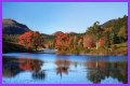 Best Fall Foliage Cruise Destinations