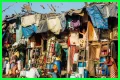Crowded Cities and Rise in Diseases