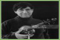 David Shapiro (musician)