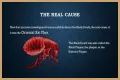 What Really Caused the Black Death: Anthrax or Celestial Bodies?